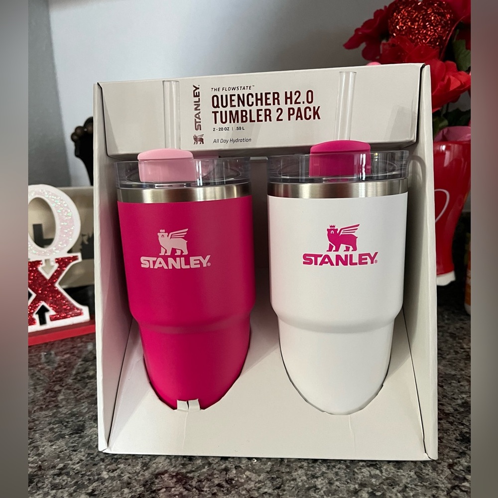Stanley | 2pk 20oz Stainless Steel H2.0 Flowstate Quencher Tumblers